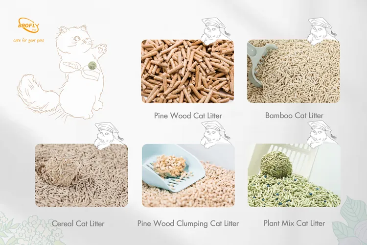 Fábrica de Areia de Gato 2