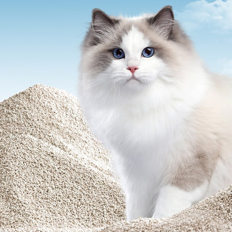 99.9% Livre de Poeira Multi Desodorizante 3-Second Absorção de Água Baseado em Plantas Pura Areia para Gato de Mandioca
