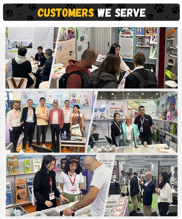 Fotos da Exposição comercial