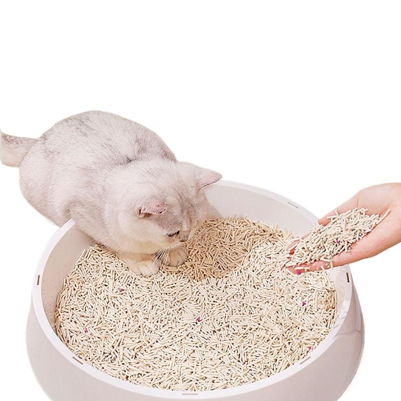 OEM ODM Superior Absorção Pellets Reciclados Ecológicos Rápido Agregação Areia para Gato