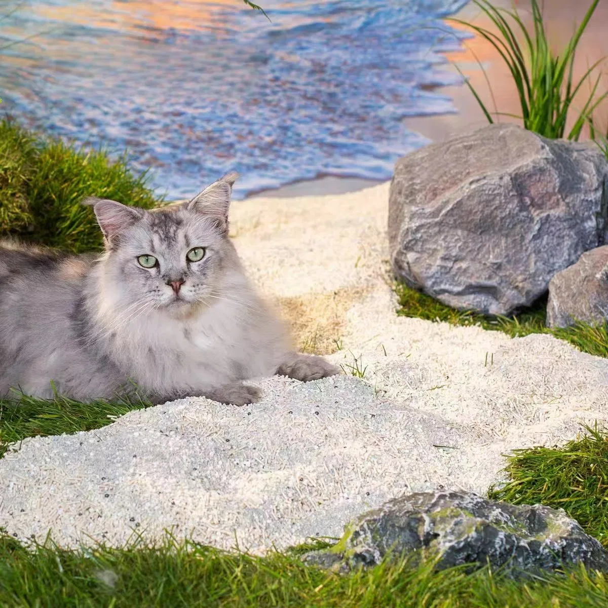Empresa de Produtos para Animais de Estimação OEM/ODM Fornecimento Natural de Areia para Gatos Mistura de Tofu e Mandioca