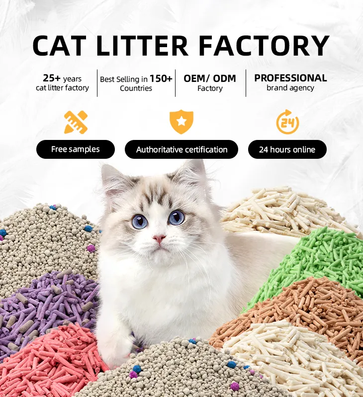 Areia para gatos ecológica feita de papel reciclado premium
