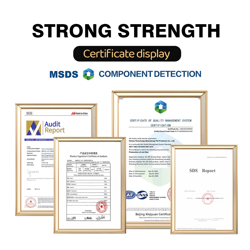 Certificação 1