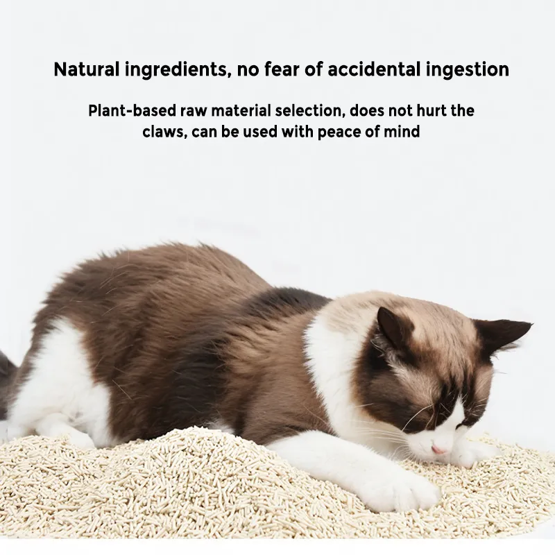 Fabricante Atacado 6L Produtos para Animais de Estimação à Base de Milho 5 Sabores Areia para Gato de Tofu com Fragrância Natural Areia para Gato Flushable Nala Arena Para Gatos