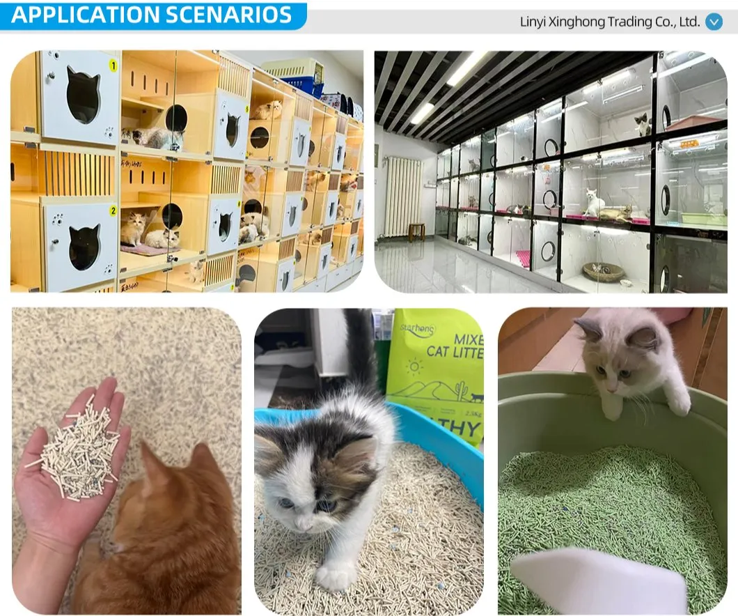 Areia para gatos ecológica e à base de soja disponível nos sabores original fragrante e chá verde