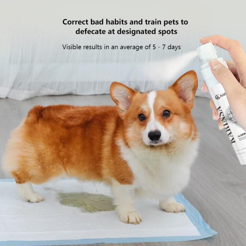 Spray para Treinamento de Cachorros, um Item Essencial para Filhotes, Previne Eficazmente o Comportamento de Urinação e Marcação, Adequado para Uso Interno e Externo
