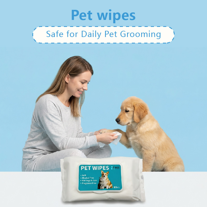 Fornecedores de Produtos para Animais de Estimação OEM ODM, Toalhetes Naturais Ecológicos para Animais de Estimação, Toalhetes de Limpeza Biodegradáveis para Filhotes e Gatos, Marca Privada