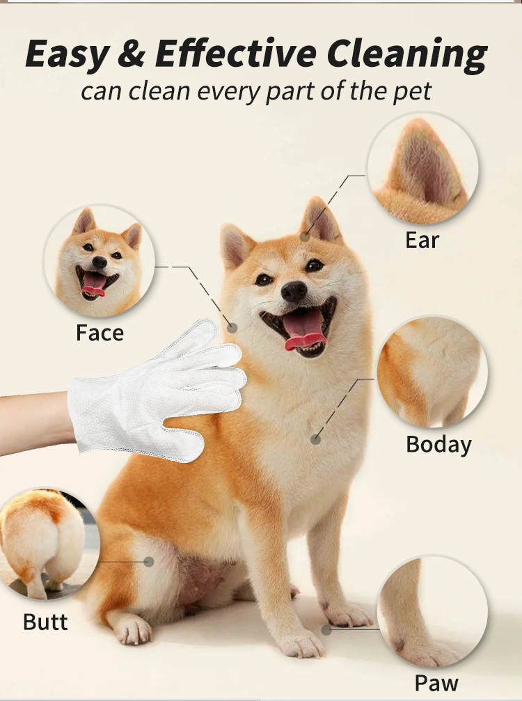 Toalhetes de Limpeza Dental de Alta Qualidade para Animais de Estimação Cuidado Oral para Cães Limpador de Dentes para Gatos Toalhetes Úmidos para os Dedos 6-Piece Caixa
