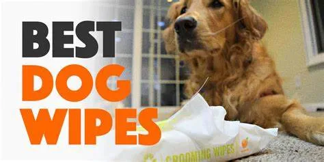 Toalhetes para Animais de Estimação para Cães e Gatos, Toalhetes de Limpeza e Controle de Odor para Patas