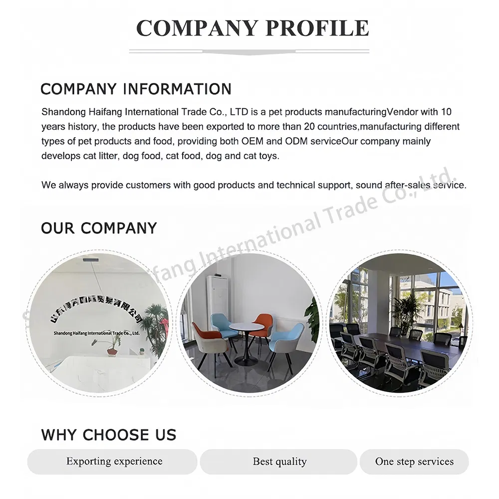 Perfil da empresa