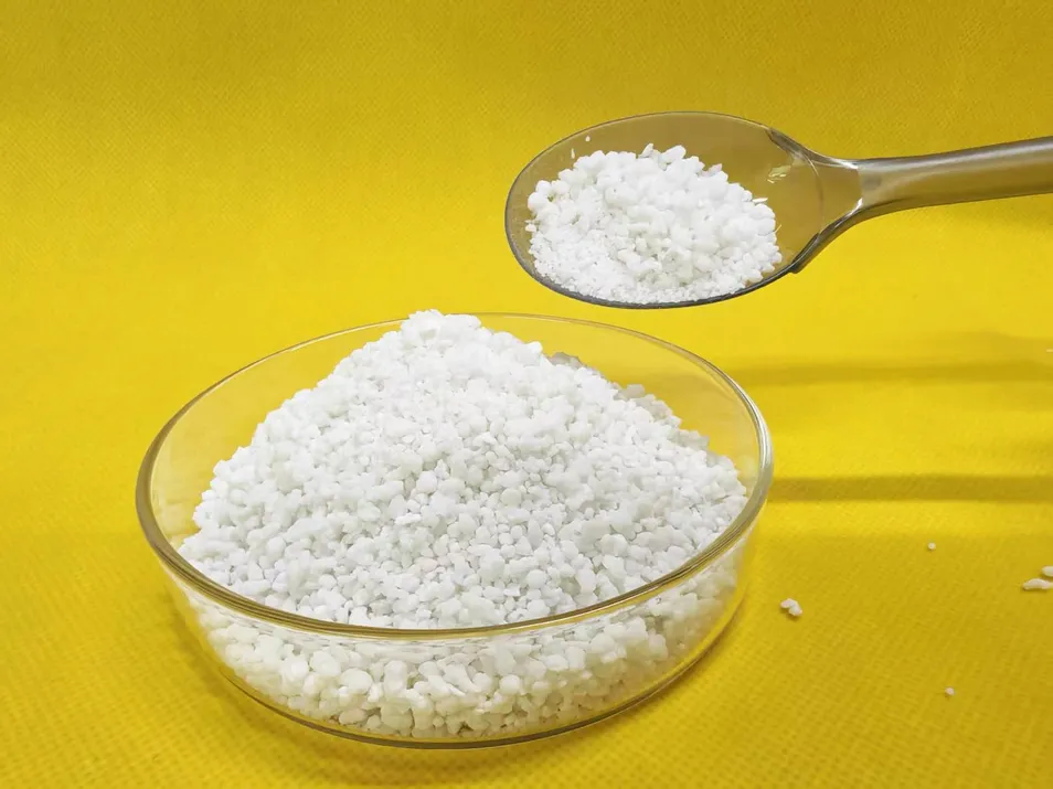 Areia para Gatos de Cassava Natural