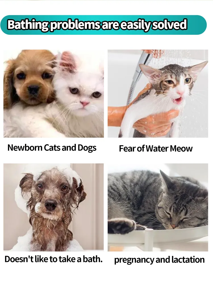 Toalhetes de Limpeza Dental de Alta Qualidade para Animais de Estimação Cuidado Oral para Cães Limpador de Dentes para Gatos Toalhetes Úmidos para os Dedos 6-Piece Caixa