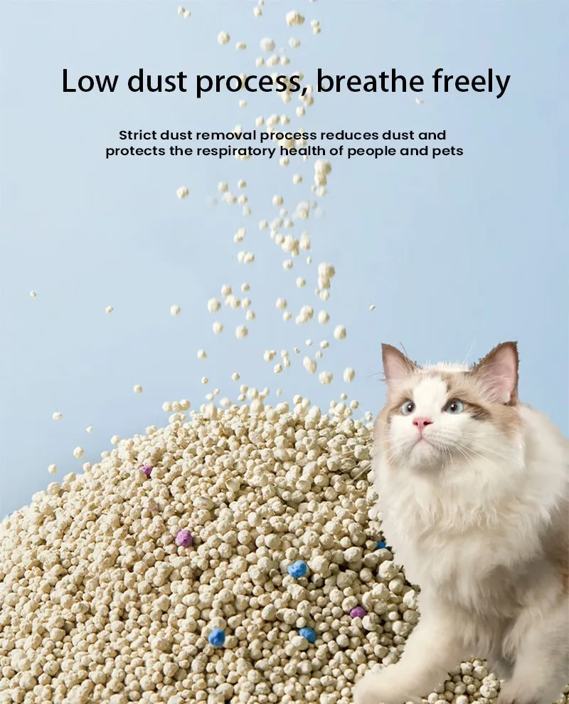 Areia de Bentonita para Gatos Suprimentos para Gatos Natural Flushable Papel Planta Eco Biodegradável Não Agregante