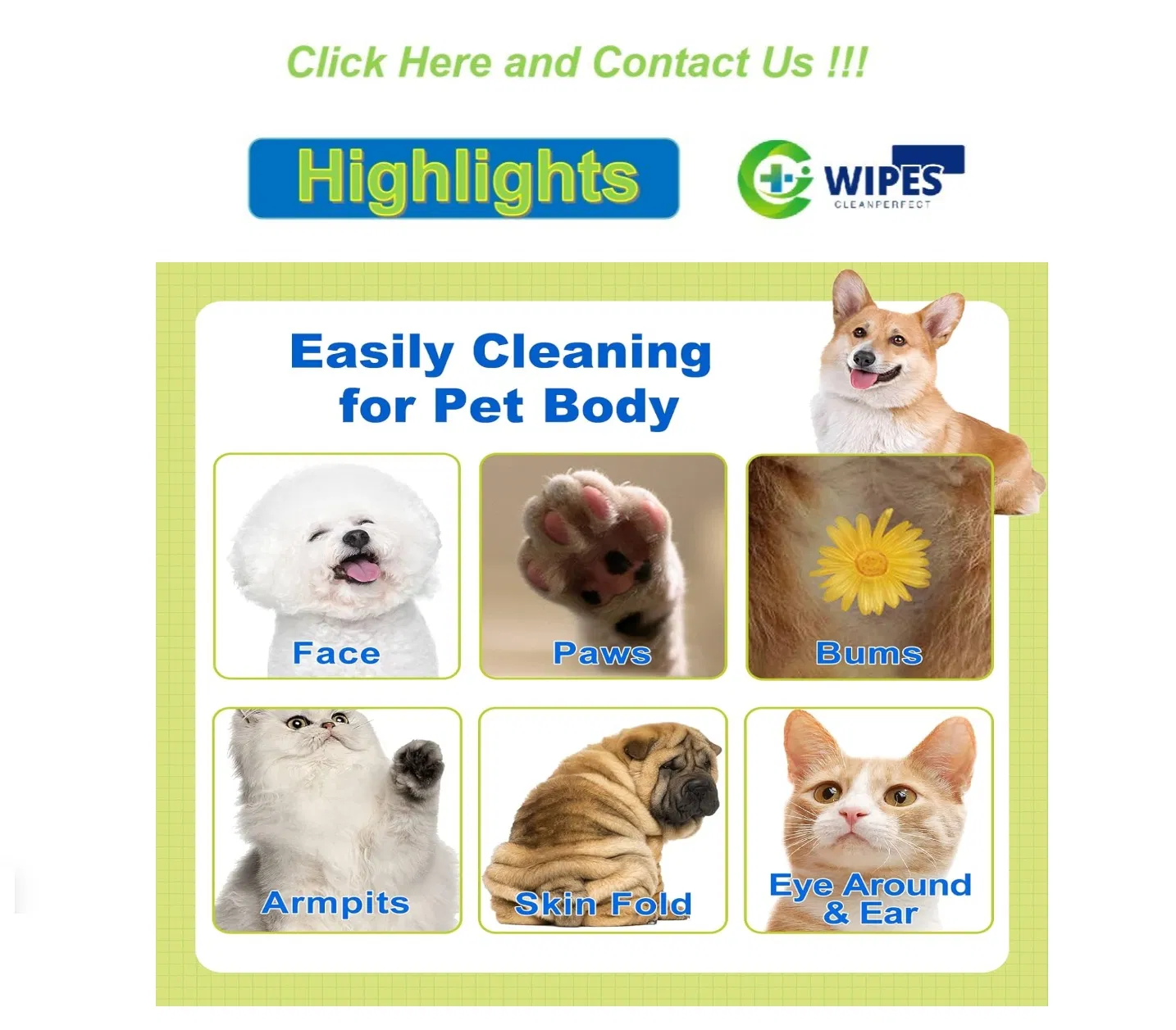 Toalhetes Biodegradáveis para Limpeza de Cães, Umidade para Dentes, Olhos e Orelhas