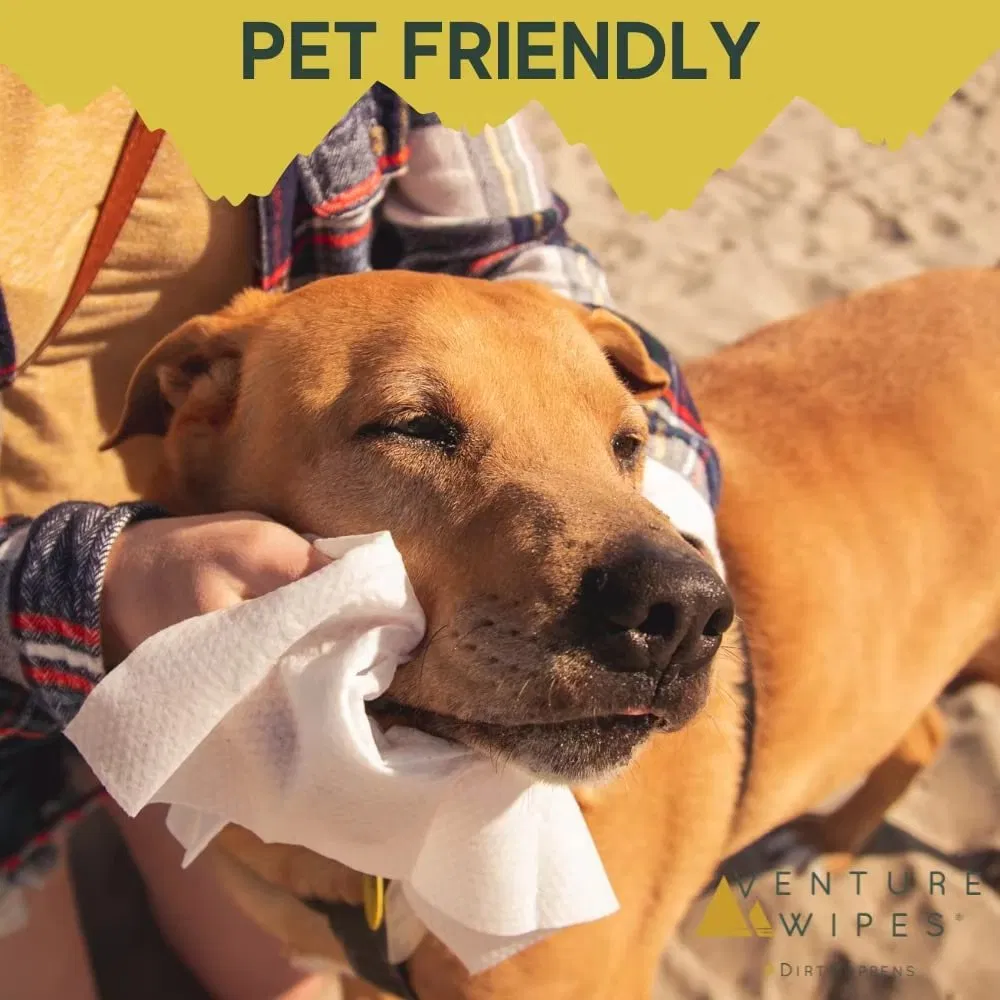 Fabricante de Toalhetes Não Tecidos Personalizados OEM para Limpeza de Patas de Cães, Toalhetes para Animais de Estimação para Cães e Gatos