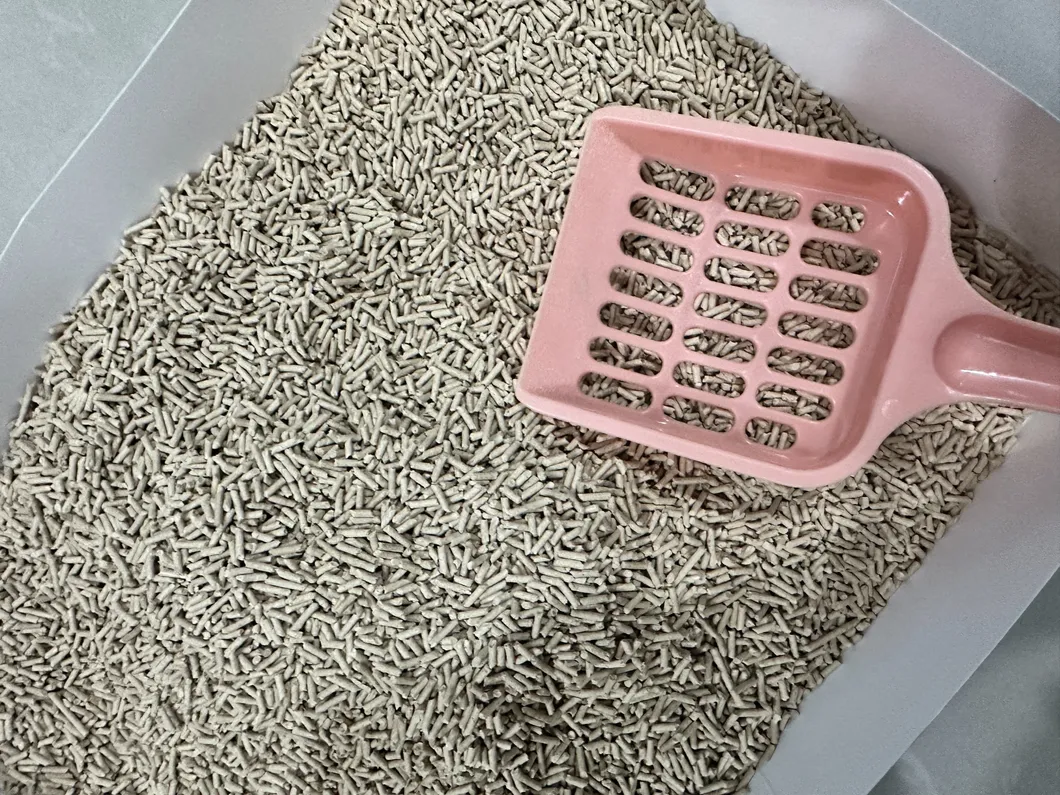 Areia de Bentonite para Gato