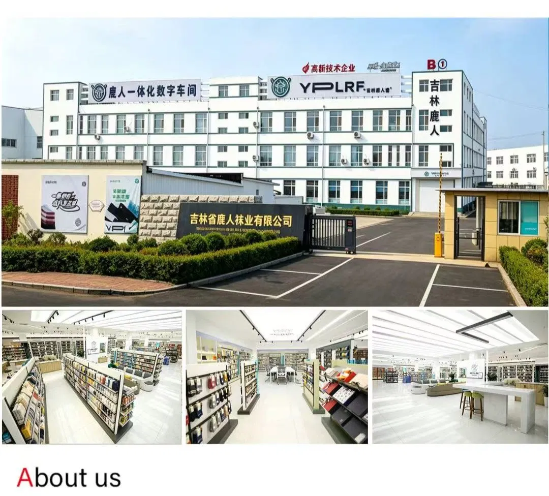 Perfil de la Empresa