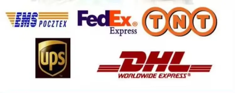 Detalles de transporte y envío