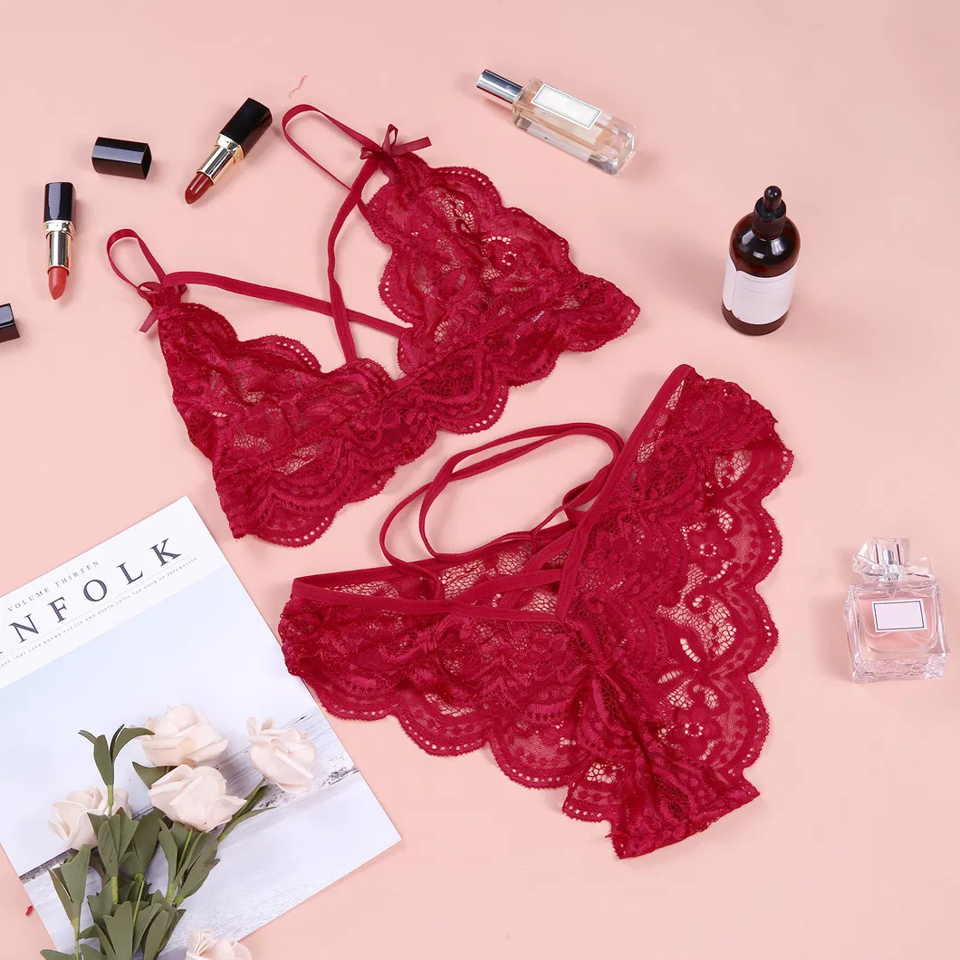Lencería erótica, conjunto de sujetador y bragas de encaje sexy, conjunto de dos piezas para pijamas de talla grande, conjunto erótico