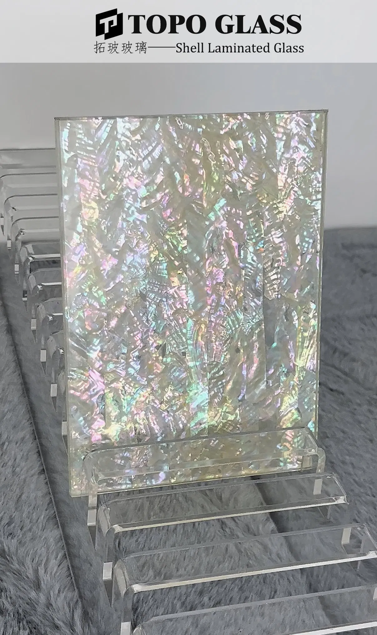 Decorative Shell Laminated Glass for Interior Partition &amp; Architectural Design