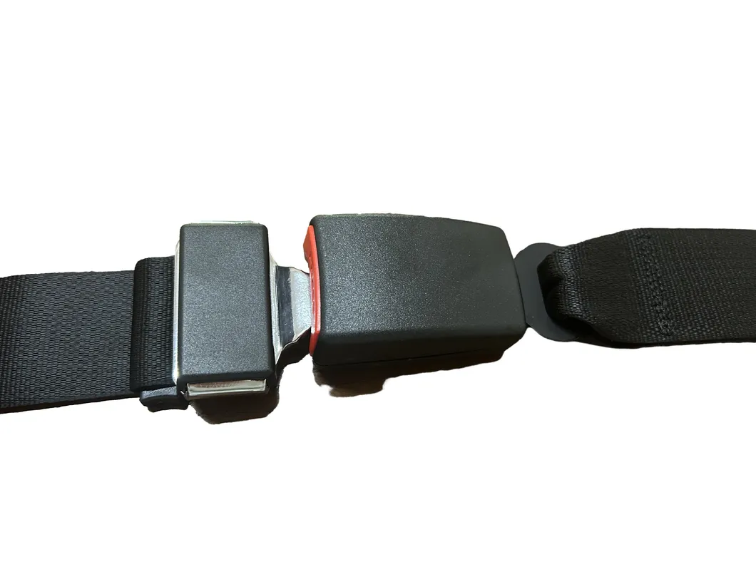 Seat Belt Detail View