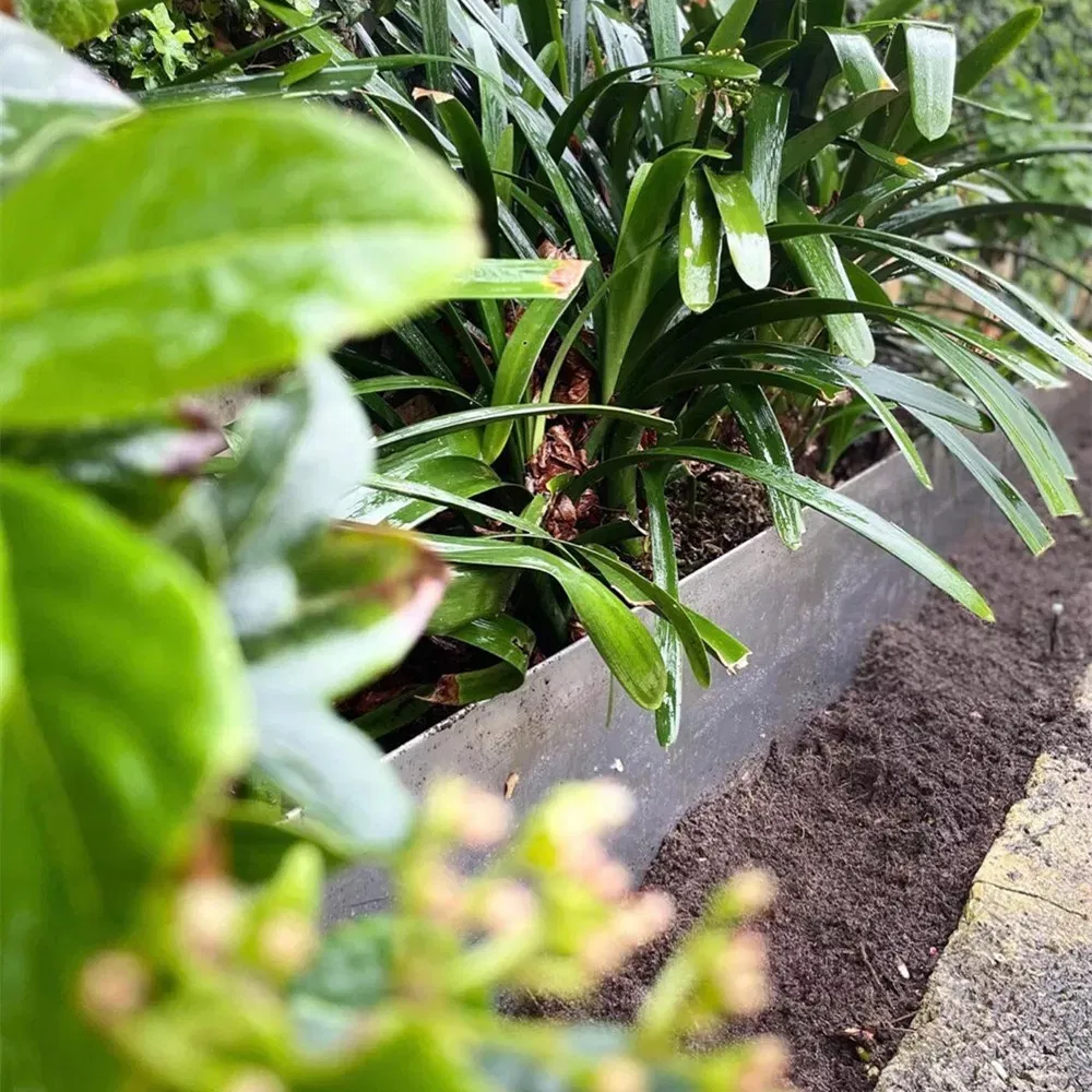 Landscape Application