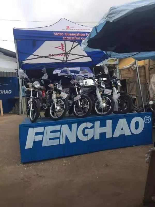 Foldable Canopy Structure