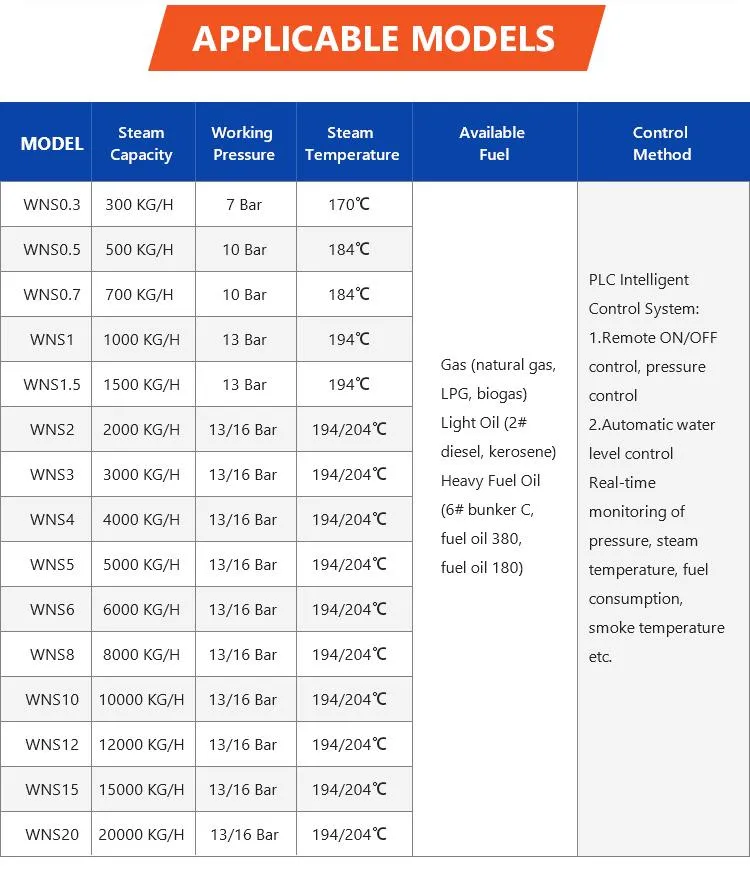 Steam Boiler Detail 2