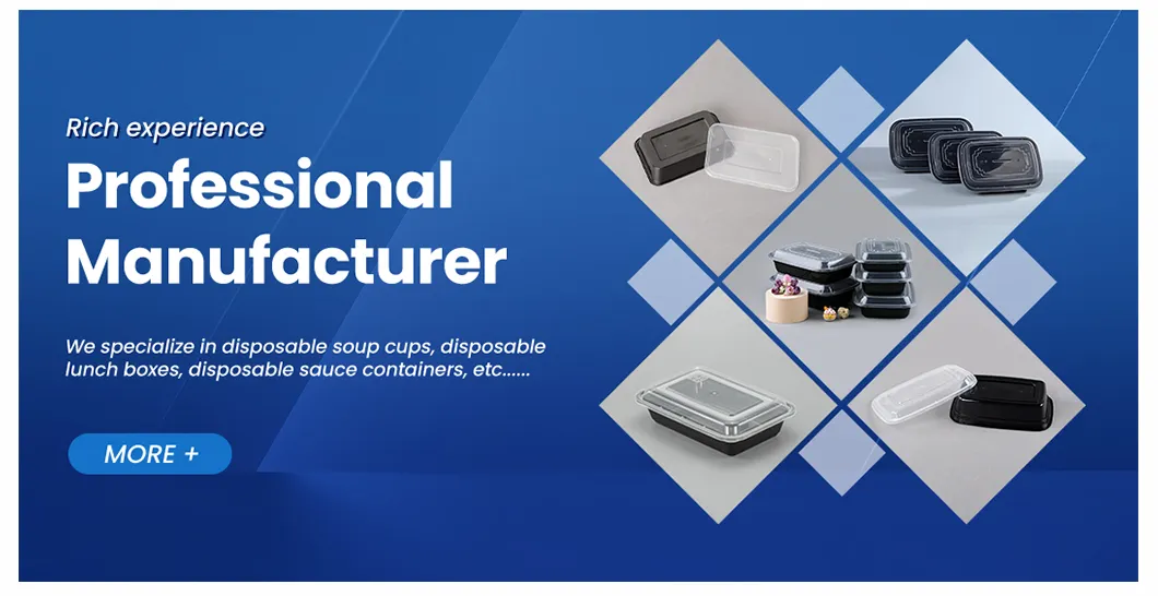 American Type Disposable Paper Lunch Box