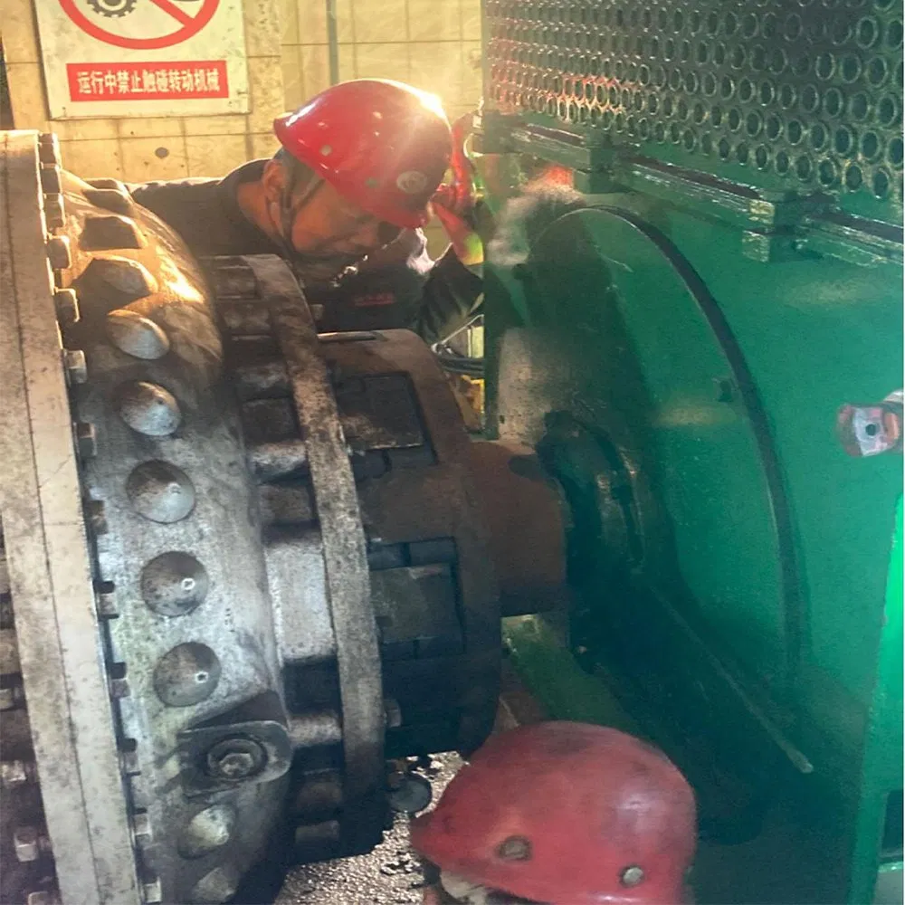 Rotor Remanufacture Repair Maintenance of Crusher for Power Plant