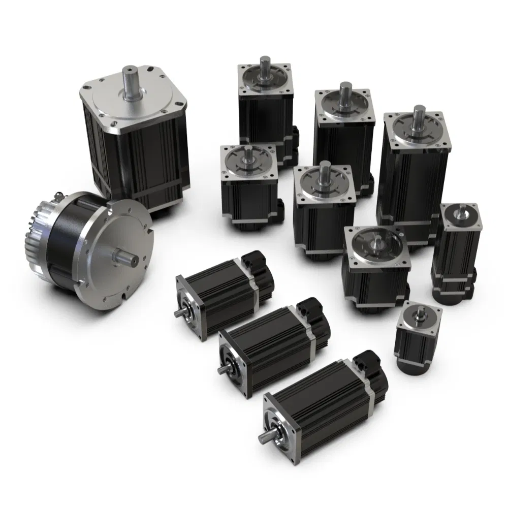 48V 96V 750W 3000rpm DC Servo Motor Permanent Magnet Synchronous Motor with Incremental Encoder Support Customization