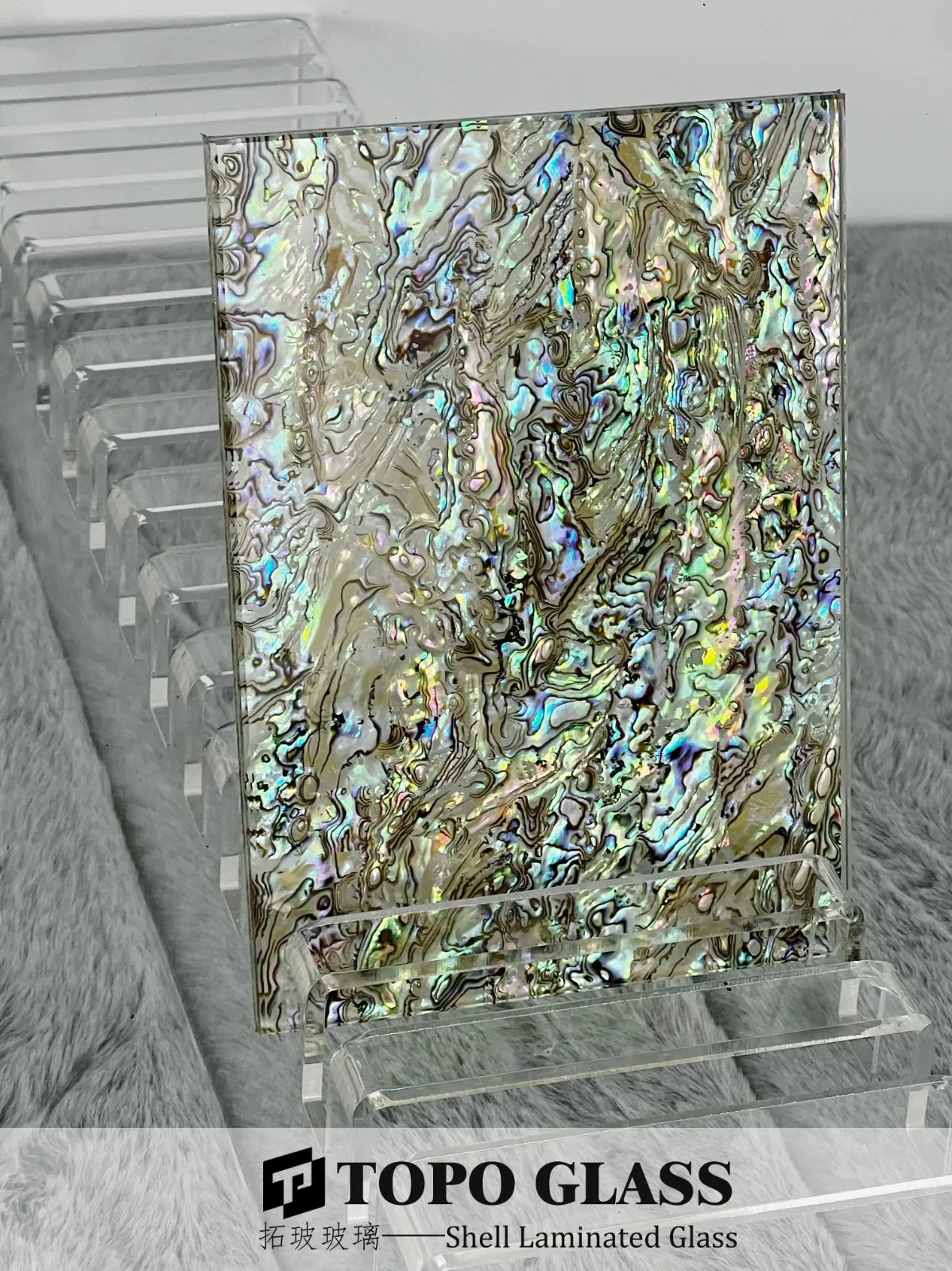 Decorative Shell Laminated Glass for Interior Partition &amp; Architectural Design