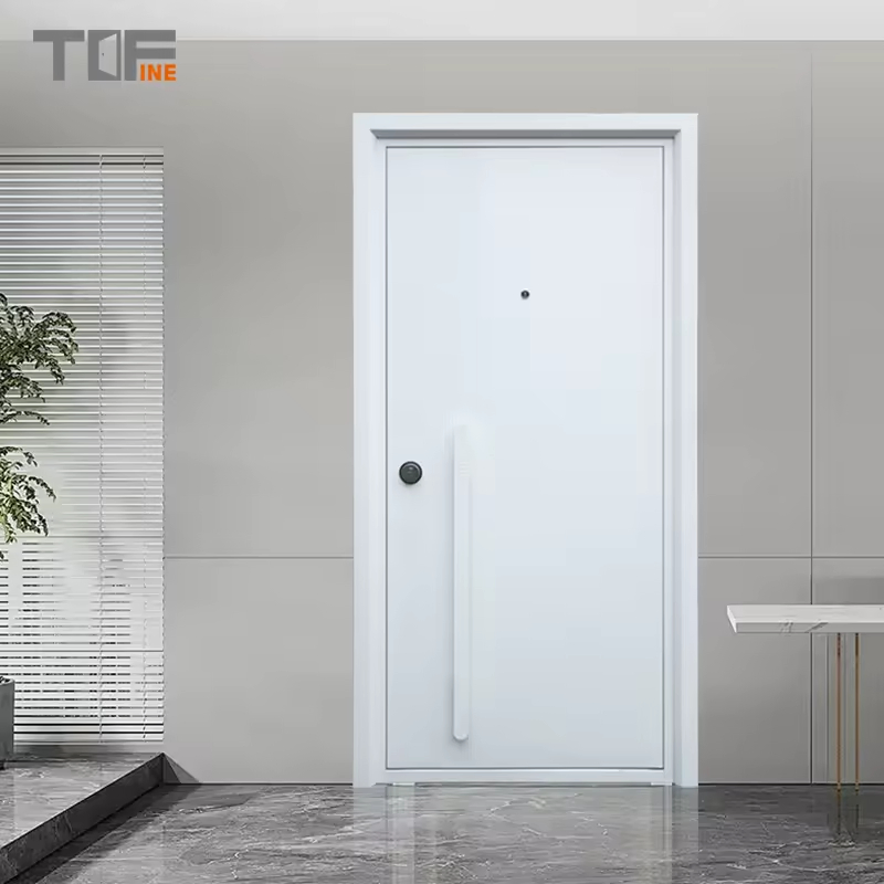 Best Price Security Entry Door Main Entrance Steel Door
