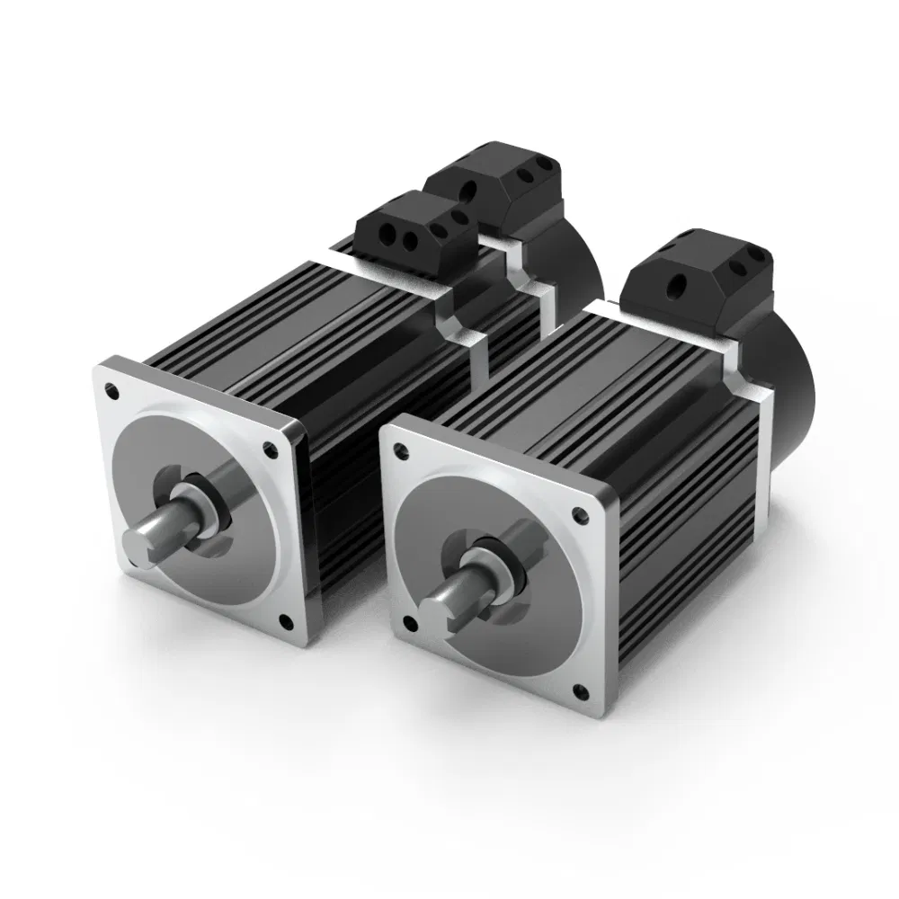 48V 96V 750W 3000rpm DC Servo Motor Permanent Magnet Synchronous Motor with Incremental Encoder Support Customization