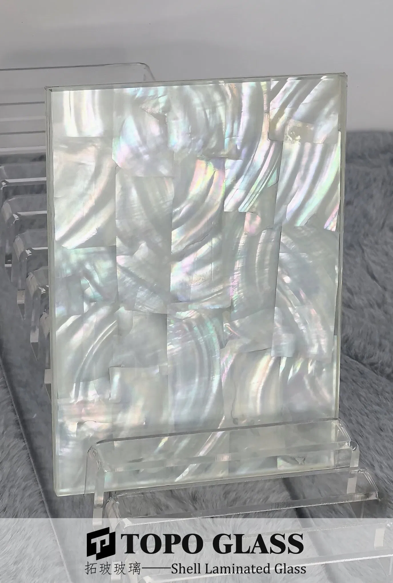 Decorative Shell Laminated Glass for Interior Partition &amp; Architectural Design