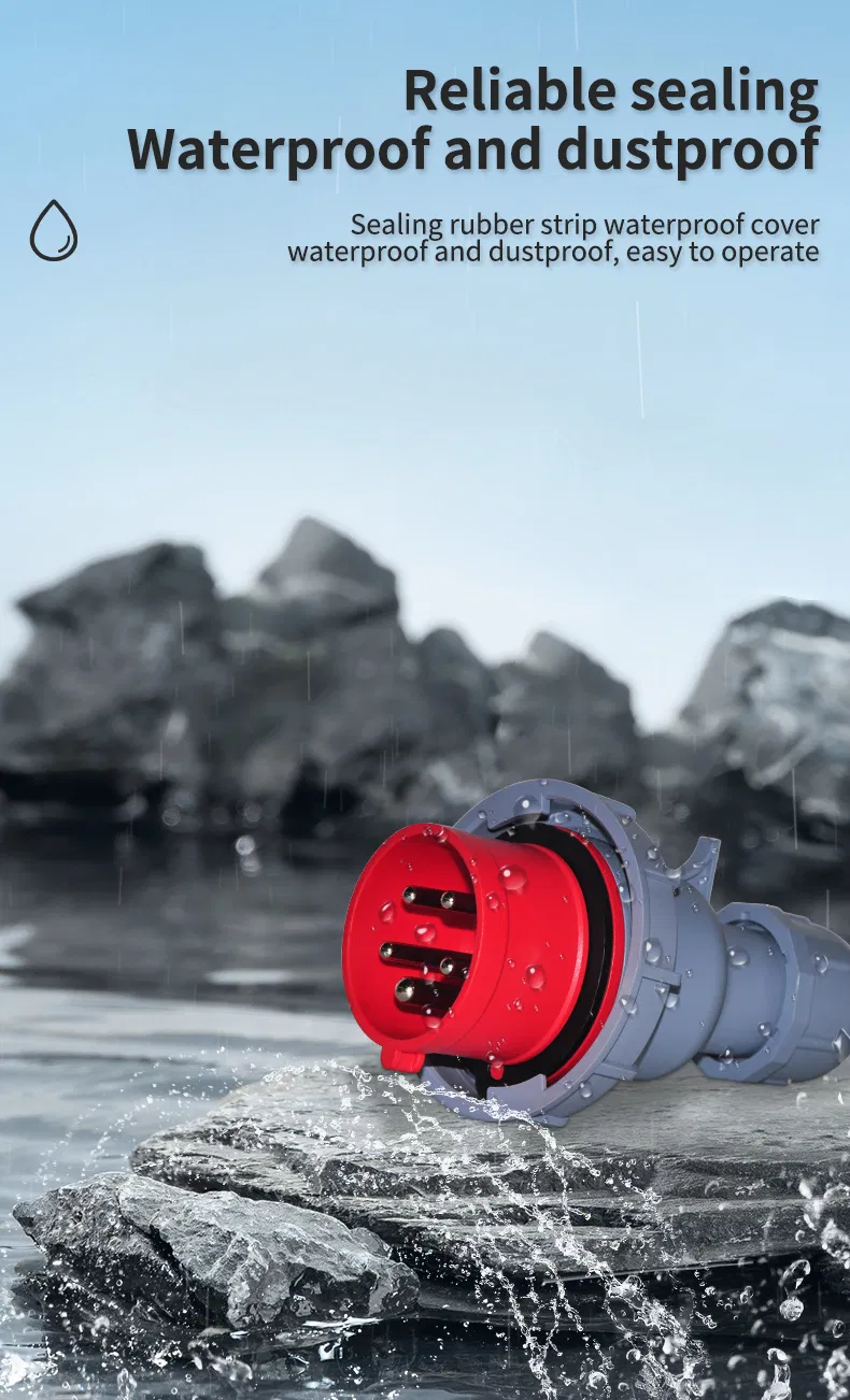 Industrial Plug Detail