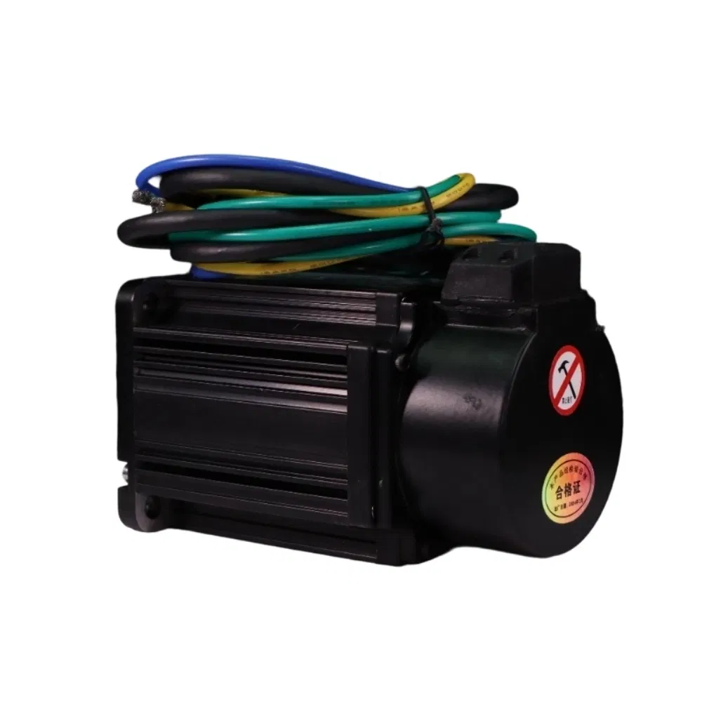 48V 96V 750W 3000rpm DC Servo Motor Permanent Magnet Synchronous Motor with Incremental Encoder Support Customization