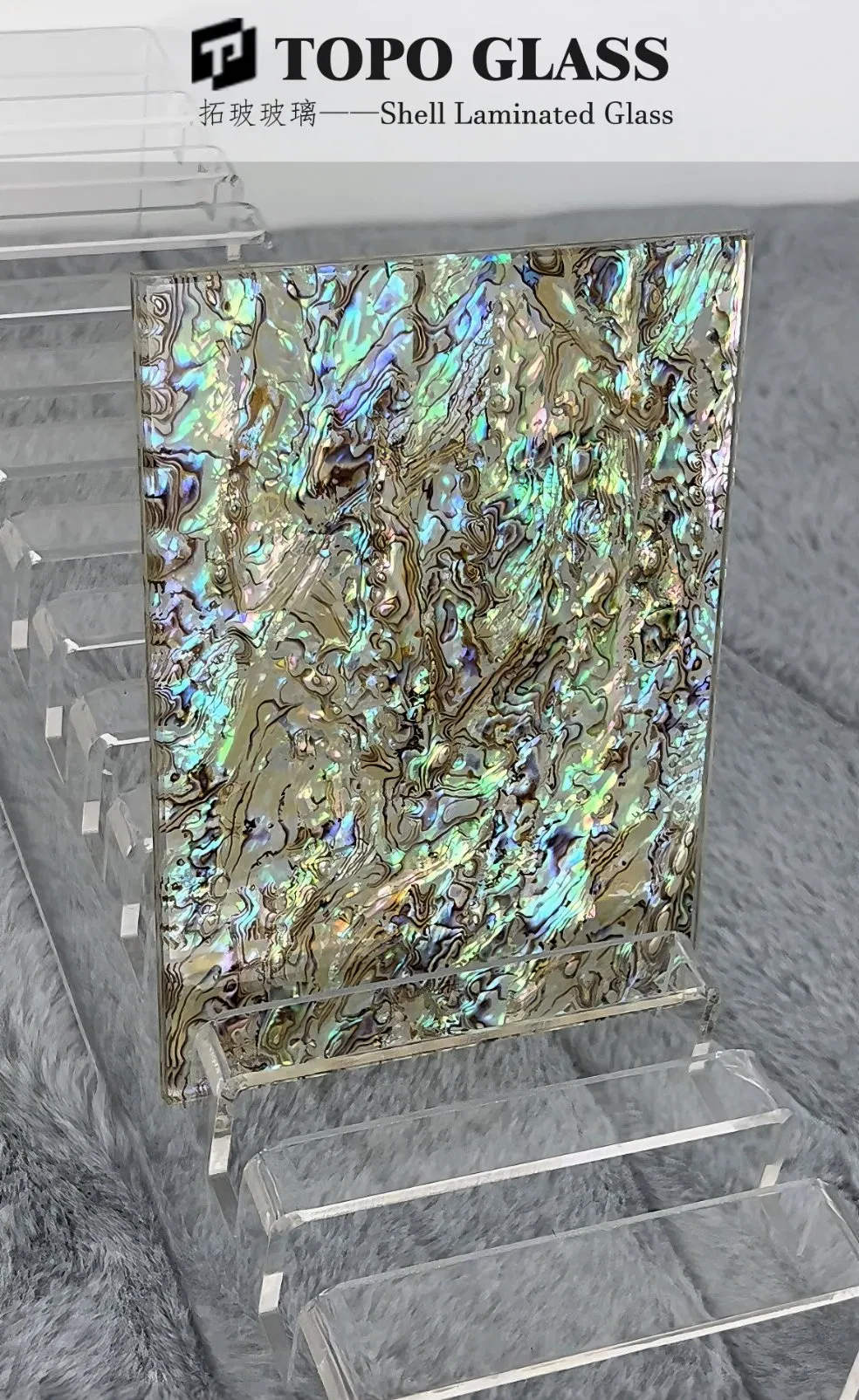 Decorative Shell Laminated Glass for Interior Partition &amp; Architectural Design