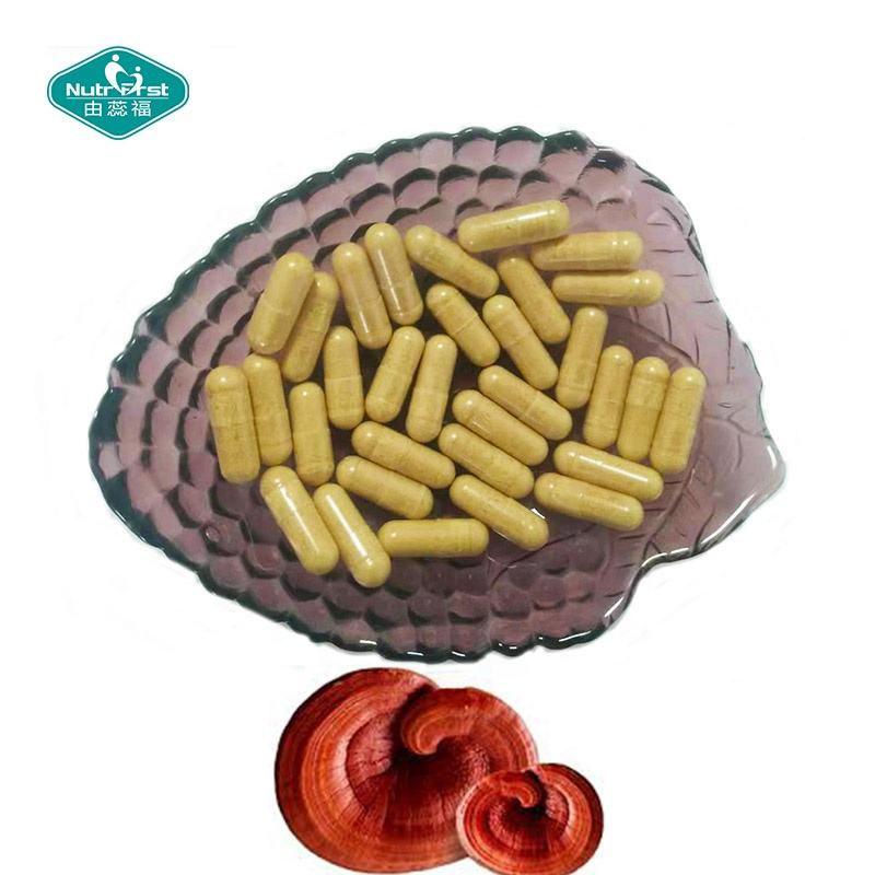 Nutrifirst Cordyceps Sinensis Herbal Supplements Lions Mane Reishi Extract Powder Capsules