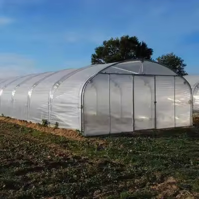 Commercial Single-Span Greenhouse Kit - Plastic Film Tunnel Design for Vegetable Seeding &amp; Strawberry Growing, Complete Steel Frame Structure