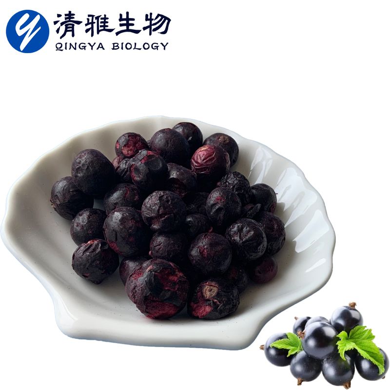 Pure Natural Freeze Dried Ribes Nigrum Powder Freeze Dried Ribes Nigrum Granules Fd Ribes Nigrum