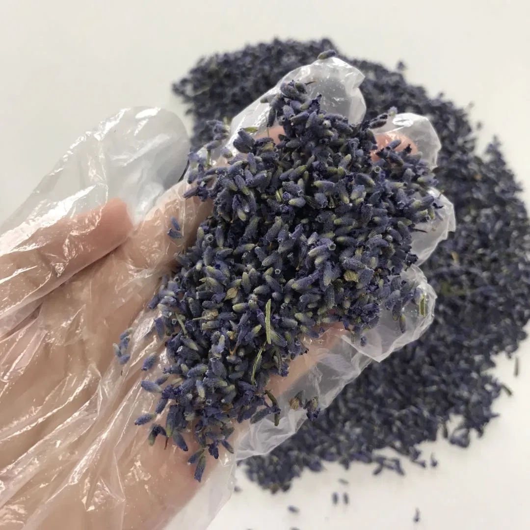 Herbal Tea Xun Yi Cao Lavender Oil Raw Material Lavender