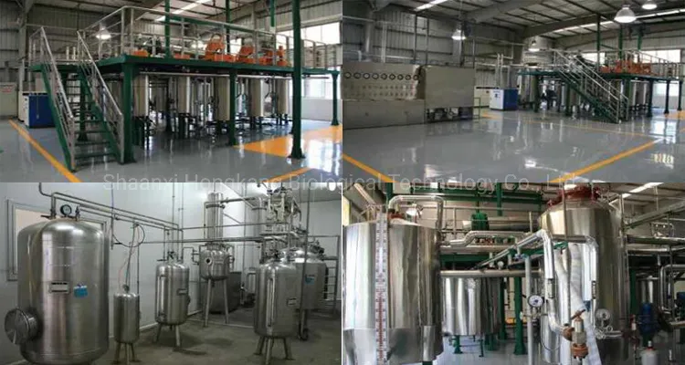 Factory Production Line