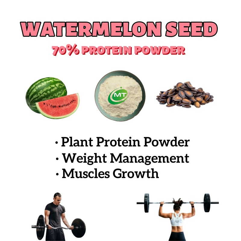 Free Sample Herbal Supplement Muscle Growth 70% Protein Watermelon Seed Extract Powder