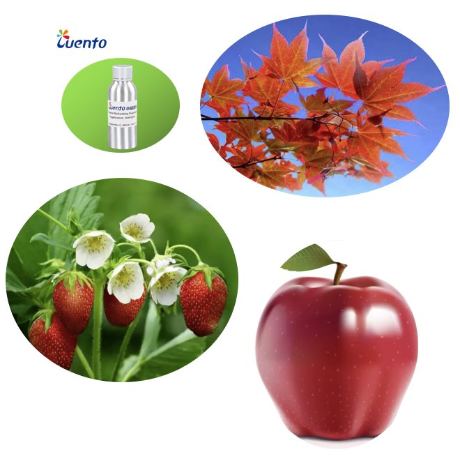 Fruity Mangosteen Fragrance Oil for Soy Bean /Paraffin Wax Candles