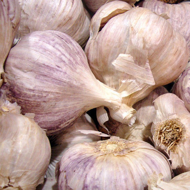 Premium Bulk Garlic Granules for Flavorful Cooking and Seasoning