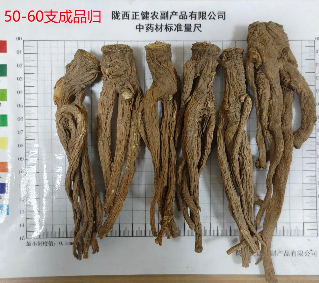 Herbal Medicine Factory Wholesale and Cultivated Chinese Traditional Herb 100% Natural Herbal Angelica Sinensis Dried Angelica Herb Dang Gui