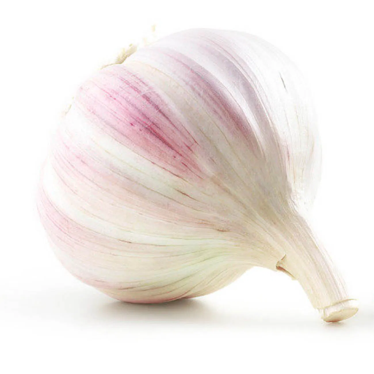 Premium Bulk Garlic Granules for Flavorful Cooking and Seasoning