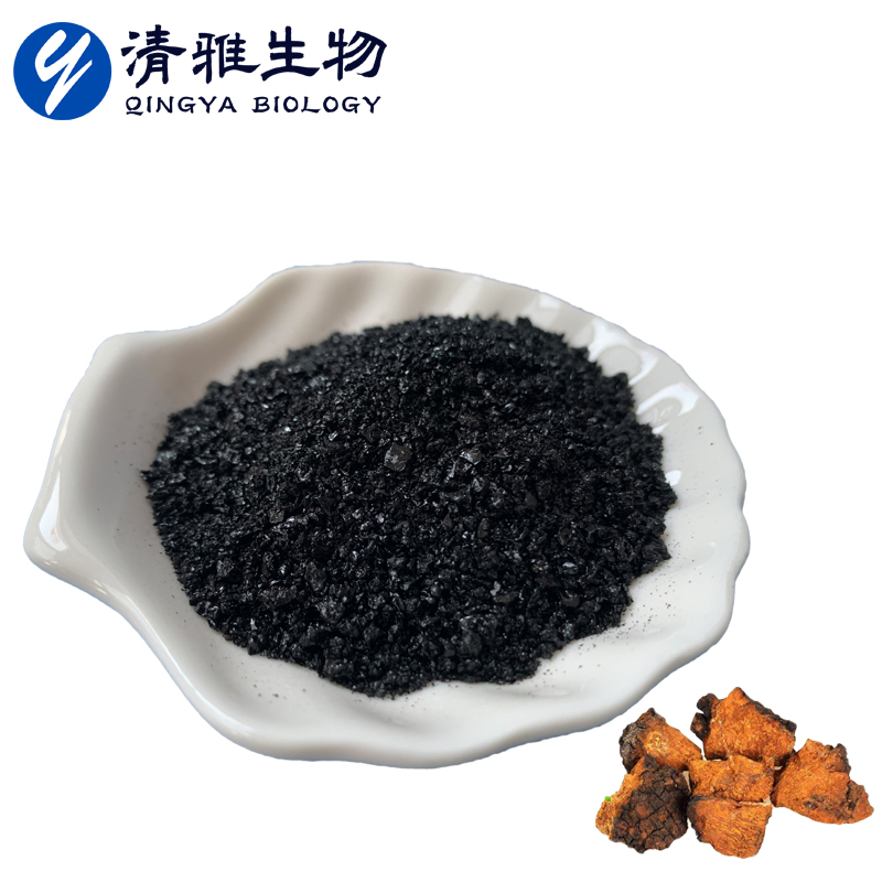 Chaga Mushroom Granules Chaga Extract Phaeoporus Obliquus Extract Inonotus Obliquus