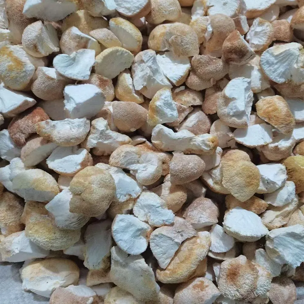 High Purity Lion's Mane Mushroom Granules - Bulk Factory Supply